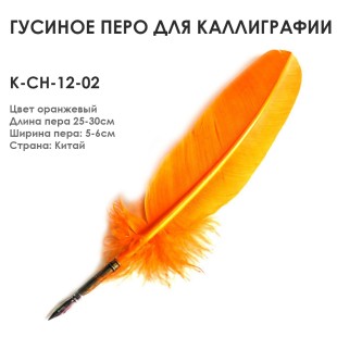 Гусиное перо для каллиграфии "К-CH-12-02" оранжевое, 25-30см