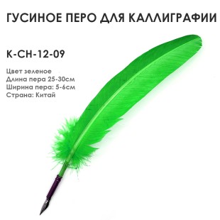 Гусиное перо для каллиграфии "К-CH-12-09" зеленое, 25-30см