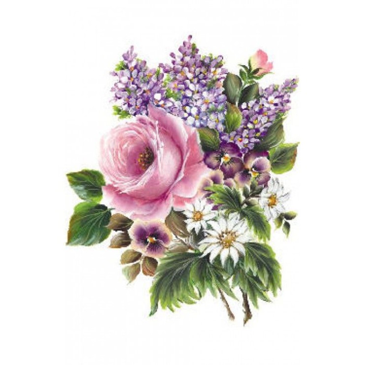 Трансфер "Transfer Collection" 17х25см, TSG0023