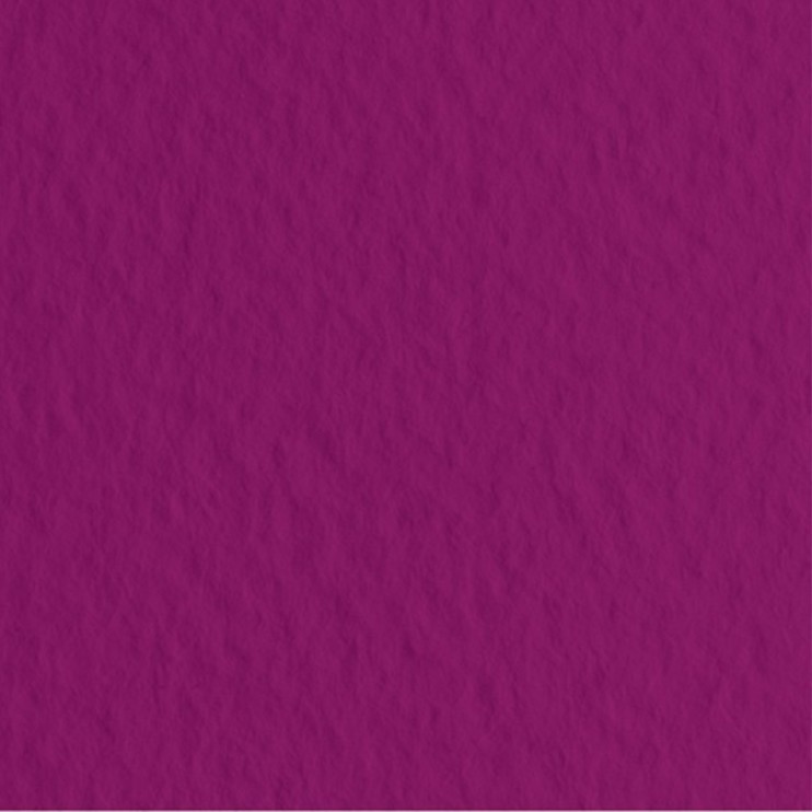 Бумага для пастели Fabriano "Tiziano" 50x65см, 10л, 160гр/м², Viola, фиолетовый (52551024)