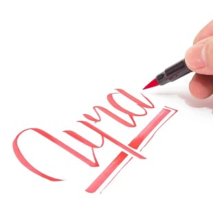 Набор из 10 Аква маркеров Lyra Aqua Brush Duo, B (теплая осень)