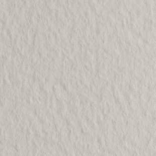 Бумага для пастели Fabriano "Tiziano" 50x65см, 10л, 160гр/м², Perla, серый светлый (52551026)