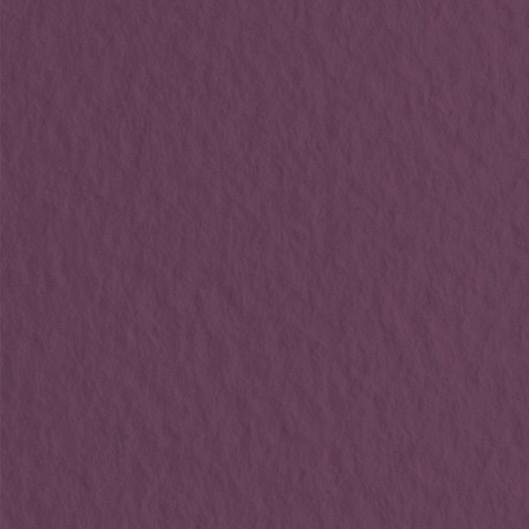 Лист бумаги для пастели Fabriano "Tiziano" 50x65см, 160гр/м², Amaranto,серо-фиолетовый (52551023)