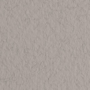Бумага для пастели Fabriano "Tiziano" 50x65см, 10л, 160гр/м², China, серый теплый (52551028)