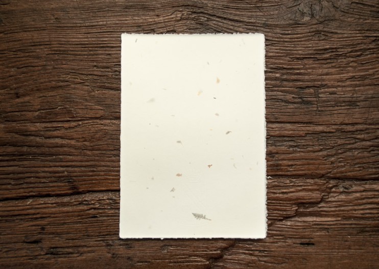 Набор бумаги ручного литья Amatruda "Amalfi" с цветами 10 шт: карточки (11.5х17.5 см) и конверты (12х18 см)