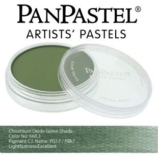 Пастель сухая "PanPastel" 660.3 Chromium Green Dark (окись хрома зеленая темная) PP26603