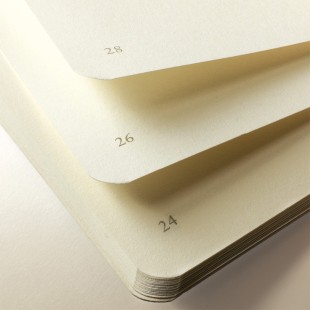 Блокнот в линейку Leuchtturm1917 "Composition" B5, 61л, 80гр/м², мягкая обложка,Зеленый Шалфей (363927)