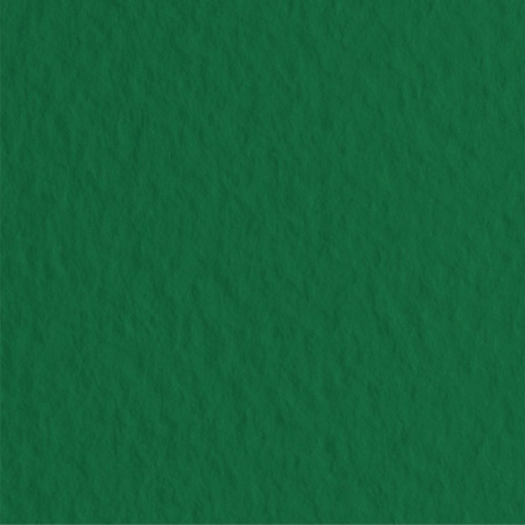 Лист бумаги для пастели Fabriano "Tiziano" 21x29,7см, 160гр/м², Biliardo,зеленый темный (21297137)