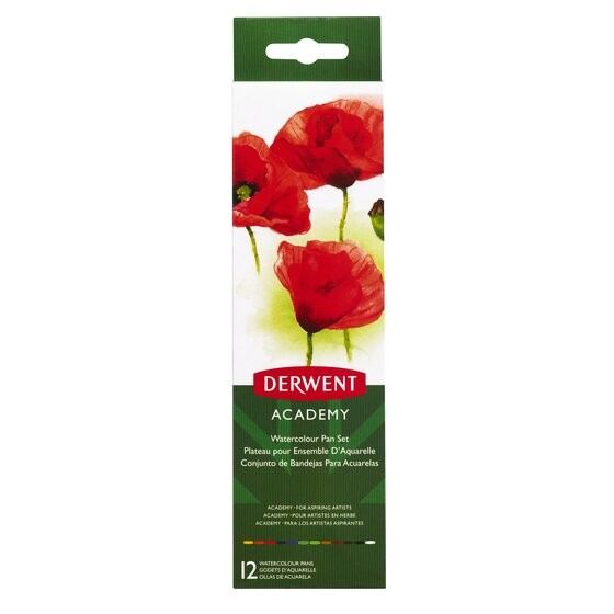 Набор акварельных красок Derwent "Academy" 12 кювет в металлическом пенале (2301955)