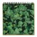 Блок бумаги для декупажа Decopatch "Decopad Colour Block" Green, 48л, 15х16см (BLOC05)