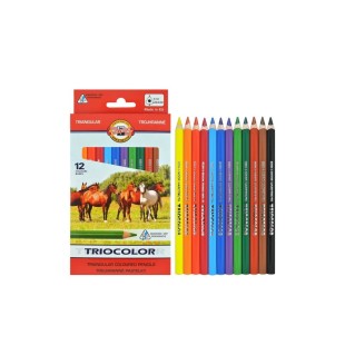 Карандаши цветные Koh-i-noor "TRIOCOLOR" 24 цвета в картонной упаковке