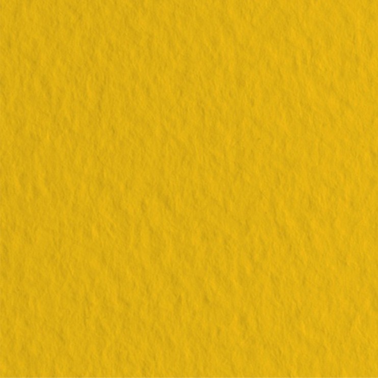 Лист бумаги для пастели Fabriano "Tiziano" 50x65см, 160гр/м², Oro,золотой (52551044)