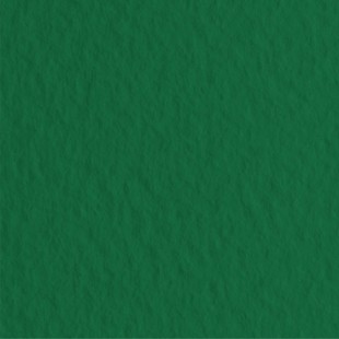 Бумага для пастели Fabriano "Tiziano" 70x100см, 10л, 160гр/м², Biliardo, зеленый темный (52811037)