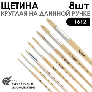 Набор кистей щетина круглая «1612» 8 штук, длинная лаковая ручка