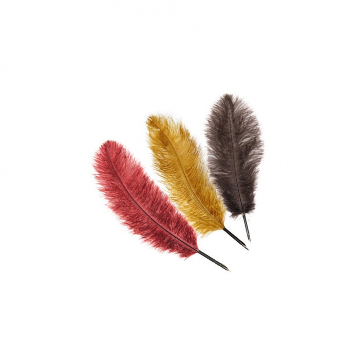Перо гусиное "Manuscript" 3  штуки, цвета ассорти, 27-30см 