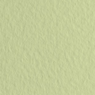 Лист бумаги для пастели Fabriano "Tiziano" 70x100см, 160гр/м², Verduzzo,салатовый теплый (52811011)