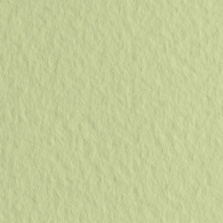 Лист бумаги для пастели Fabriano "Tiziano" 70x100см, 160гр/м², Verduzzo,салатовый теплый (52811011)