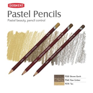Комплект пастельных карандашей Derwent "Pastel" коричневые оттенки (P570, P560, P550)