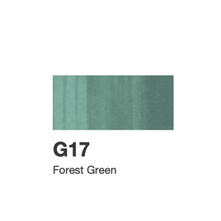 Спиртовые чернила Copic "INK" G17 Forest Green (12мл)