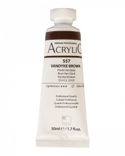 Краска акриловая ShinHan "Professional" №557 Коричневый Ван Дик, туба 50мл 