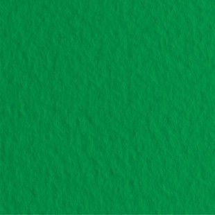 Бумага для пастели Fabriano "Tiziano" 70x100см, 10л, 160гр/м², Prato, зеленый (52811012)