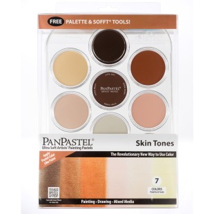 Набор сухой пастели PanPastel "Skin Tones" 7 цветов с органайзером PP30081