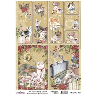 Рисовая карта для декупажа Cadence "Rice paper" 30х42см, RDP785 НГ