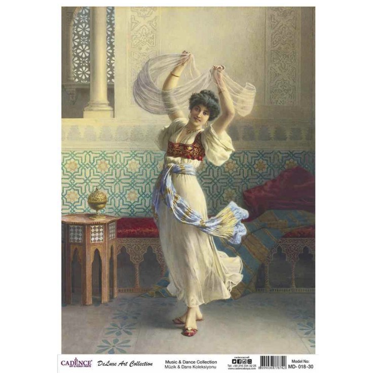 Рисовая карта 30х42см, MD018