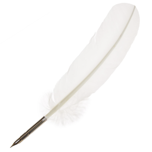Перо гусиное "Manuscript" 7 штук, 27-30см (цвета в ассортименте)