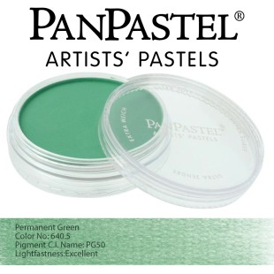 Пастель сухая "PanPastel" 640.5 Permanent Green (Зеленый прочный) PP26405
