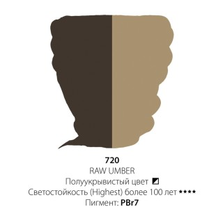Краска масляная ShinHan "Professional" №720 Умбра натуральная, туба 50мл