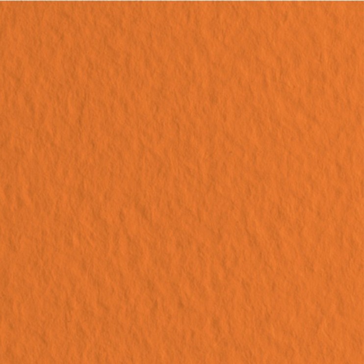 Бумага для пастели Fabriano "Tiziano" A4, 50л, 160гр/м², Arancio (оранжевый)