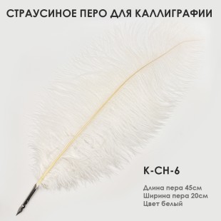 Страусиное перо для каллиграфии "К-CH-6" 45см, белое