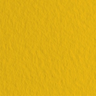 Лист бумаги для пастели Fabriano "Tiziano" 70x100см, 160гр/м², Oro,золотой (52811044)