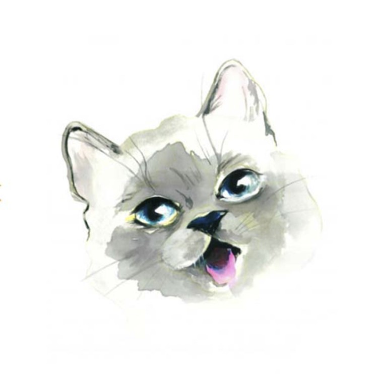 Трансфер по ткани 25х35см KTSB 007 котик