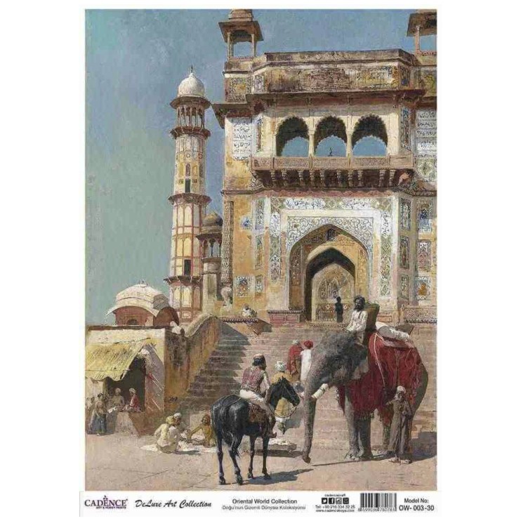 Рисовая карта 30х42см, OW003