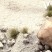 Паста акриловая Vallejo "Diorama FX" 26.215 Grey Sand, 200мл