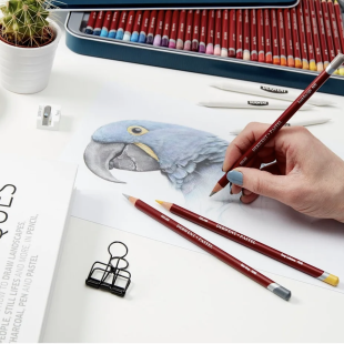 Набор пастельных карандашей Derwent "Pastel" 12 цветов в металлическом пенале (32991)