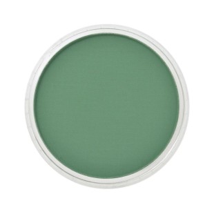Пастель сухая "PanPastel" 640.3 Permanent Green Shade (Зеленый прочный темный)