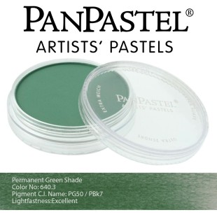 Пастель сухая "PanPastel" 640.3 Permanent Green Shade (Зеленый прочный темный) PP26403