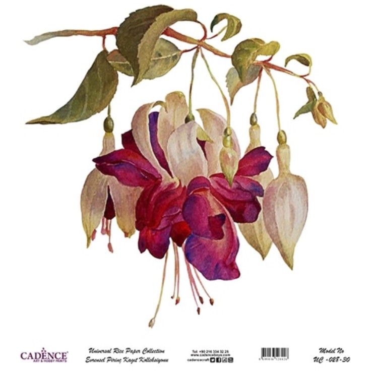 Рисовая карта "White Ground" 30х30см, UC028 фуксия крупная