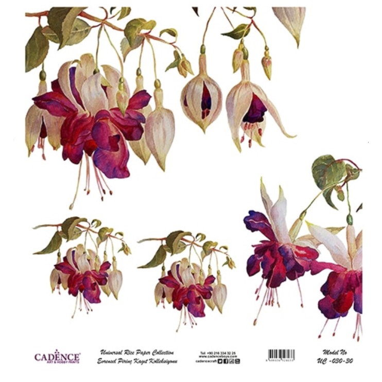 Рисовая карта "White Ground" 30х30см, UC030 фуксия