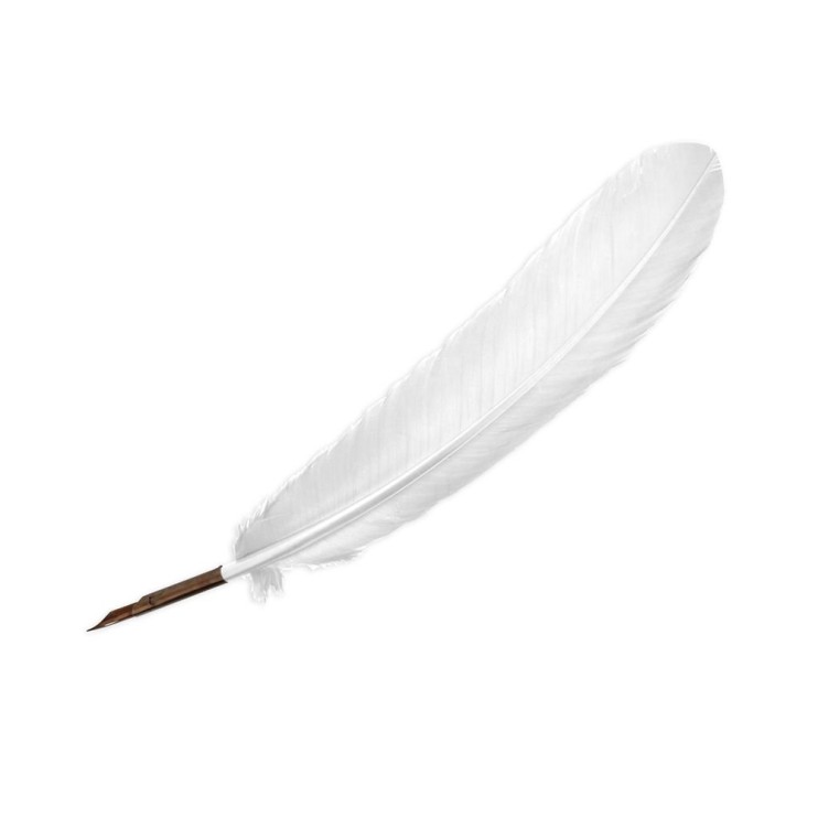 Перо гусиное "Manuscript" белый, 27см