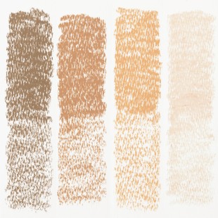 Набор сухой пастели Rembrandt "231" 4 оттенка