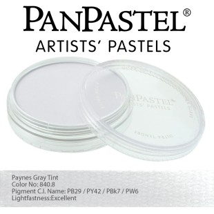 Пастель сухая "PanPastel" 840.8 Paynes Grey Tint (серый Пейна экстра светлая) PP28408
