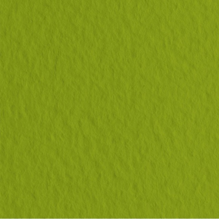 Бумага для пастели Fabriano "Tiziano" 50x65см, 10л, 160гр/м², Veronese, фисташковый (52551043)