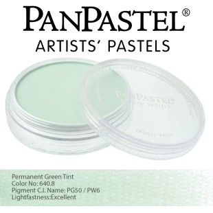 Пастель сухая "PanPastel" 640.8 Permanent Green Tint (зеленый прочный светлый) PP26408