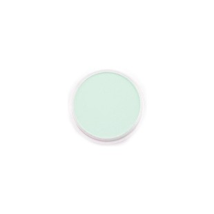 Пастель сухая "PanPastel" 640.8 Permanent Green Tint (зеленый прочный светлый) PP26408