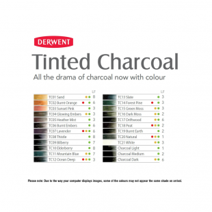 Карандаш угольный Derwent "Tinted Charcoal" TC09 Bilberry (Черничный) (2301673)