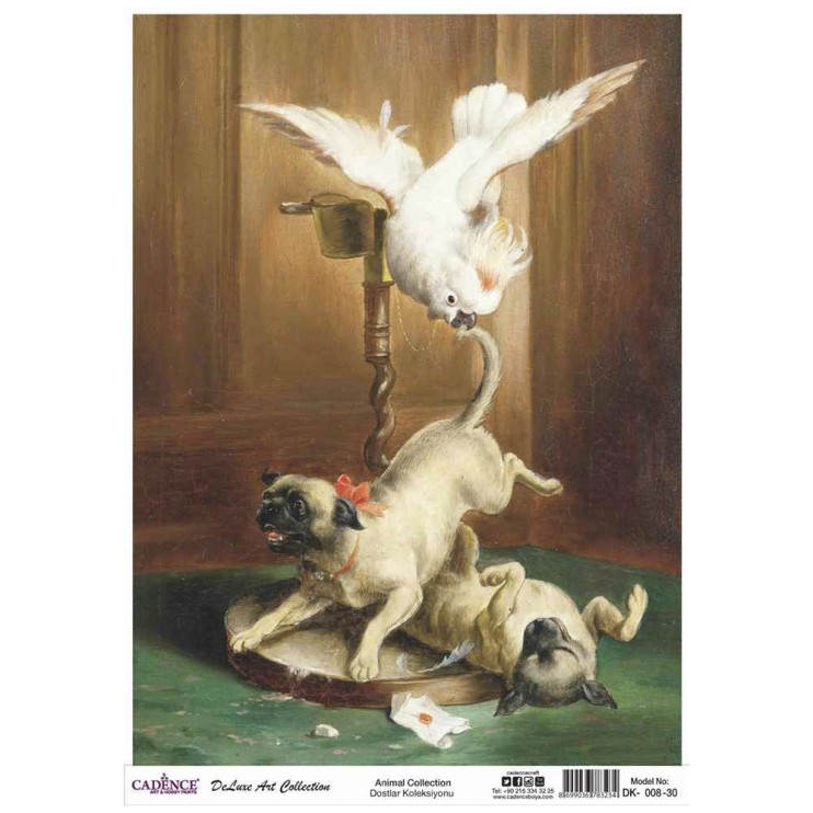 Рисовая карта 30х42см, DK008